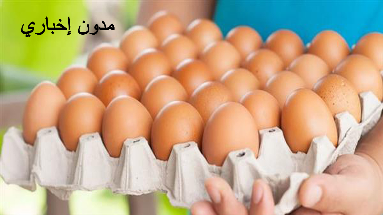 عرض حصري: اتحاد المنتجين يواصل طرح البيض بسعر 150 جنيهاً