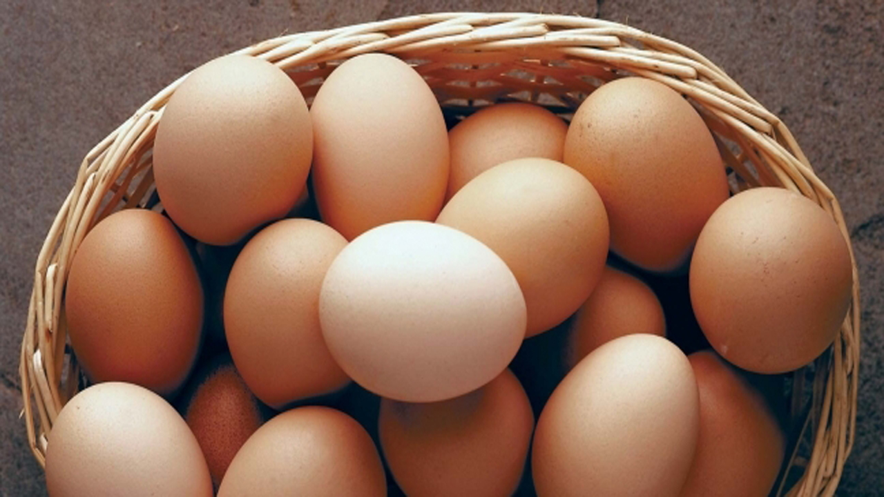 ماذا يعني رؤية البيض في الحلم وكيف تفسرها بشكل دقيق؟