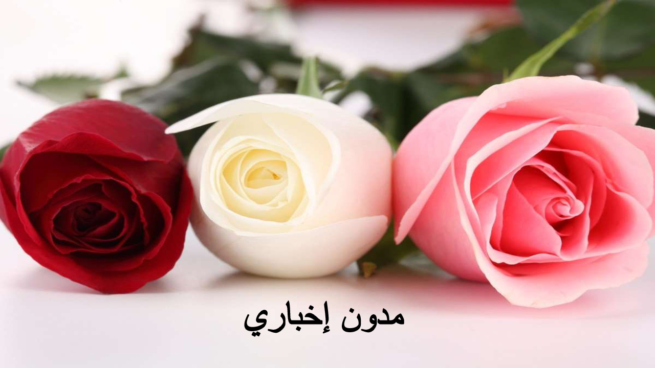 تفسير حلم الورد في المنام الأحمر والأبيض للمتزوجة والعزباء والرجل
