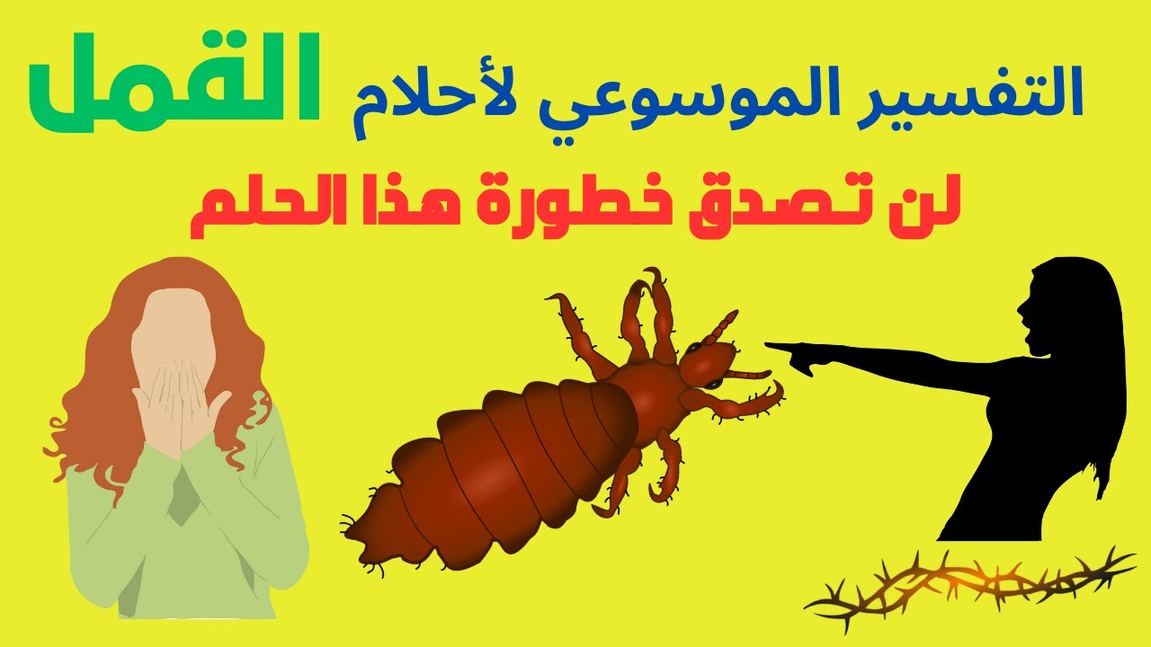 تفسير حلم القمل في الشعر