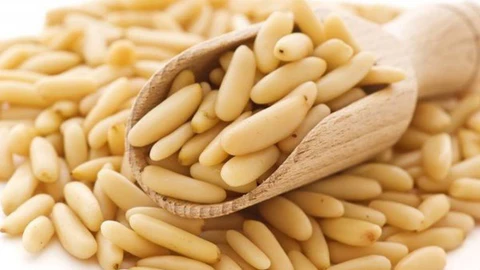 أسماء نبات بحرف الصاد