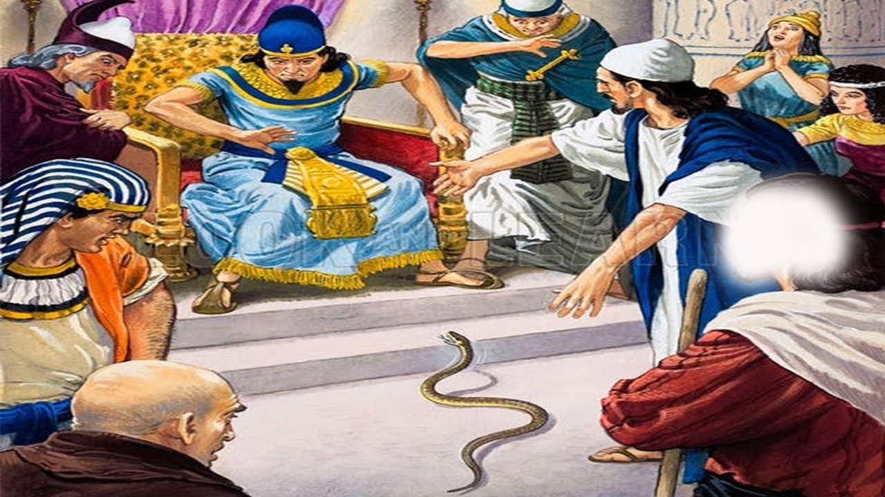 لماذا أمن السحرة بموسى